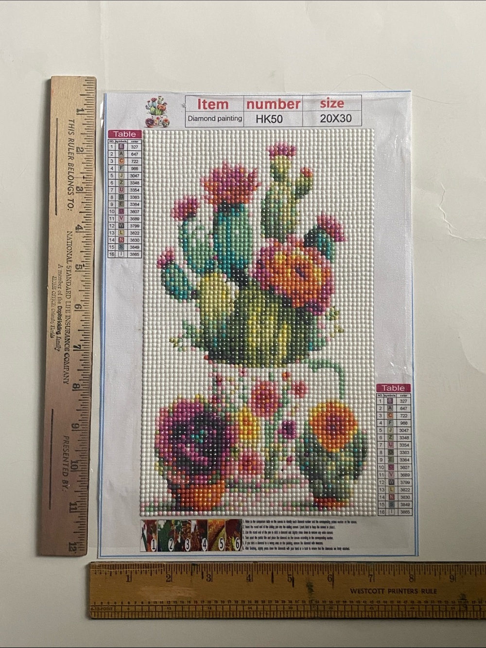 *CLOSET CLOSING* 10 for $10 Diamond Painting 8"x12" Cactus